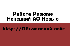 Работа Резюме. Ненецкий АО,Несь с.